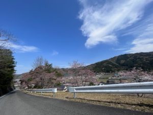 桜坂