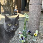 クーちゃんとお花
