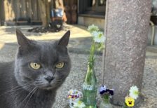 クーちゃんとお花