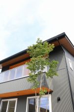 モダンな印象のスタイシッシュな外観