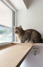 とっておきの場所