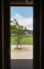 勝手口から見える景色